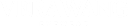 Vera Wang logo