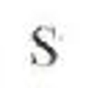 Stephen M Witt, Attorney at Law logo
