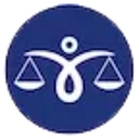 Saleh Law Group logo