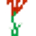 DFW Glass & Vase Wholesale logo
