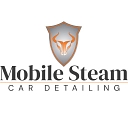 Mobile Steam Car Detailing logo