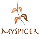 MySpicer logo