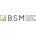 BSM Accounting Services logo