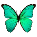 Trellis 3D logo