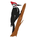 Flathead Audubon logo