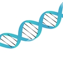 Paradigm Peptides logo