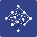 Network Perspective logo