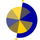 Destiny Care Foundation logo