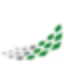 Deep Future Analytics logo