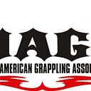 NagaFighter logo
