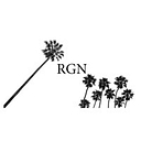 RGN Accountancy Group logo