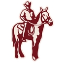 Vilofence logo