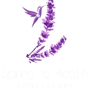 Spring to Health logo