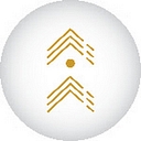 BTG Spanish logo