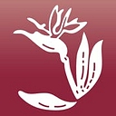 Jimmy’s Flowers logo