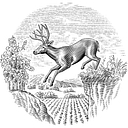 Stags' Leap Winery logo