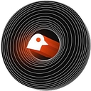 Chirp Network logo