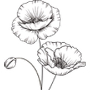 House of Poppy logo