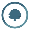 Oxand Simeo logo