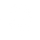 Temys logo