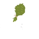 Sauna Shield logo