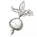 Front Range Fed logo