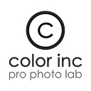 Color Inc Pro Lab logo