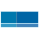 Selzer Gurvitch logo