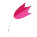 Carrollwood Florist logo