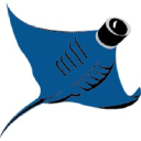 VideoRay logo