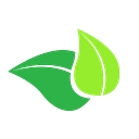 Breathe Easy Mold Remediation logo