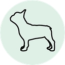 ruffroadsmobilegrooming.com favicon