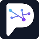Punya AI logo