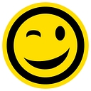 Store In A Wink logo