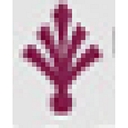 Sjoberg & Tebelius, P.A. logo