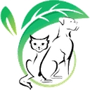 Clear Choice logo