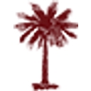 Carolina Billing Associates logo