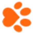 PetInsurer logo