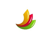 PrimePro logo