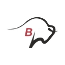 bullfincher.io favicon