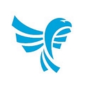 Blue Eagle Consulting logo