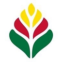 Colorful Seasons logo