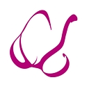 The Little Bra Company logo