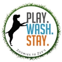 Play Wash Stay logo