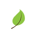 Chicago Health Foods logo