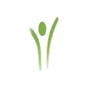 Holistic Medical Wellness logo