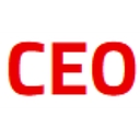 CEO Capital logo