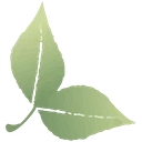 Timeless Gardens NY logo