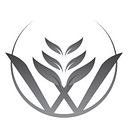 Warm Springs Consulting logo