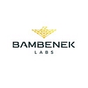 Bambenek Consulting logo